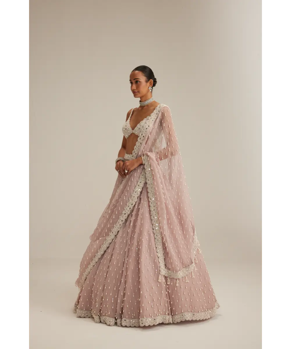 VVANI VATS- Ash Pink Pearl Drop Organza Lehenga Set